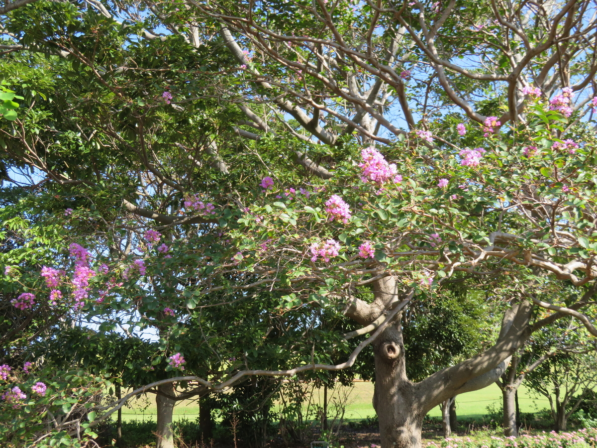 f:id:eiji-chan:20190918210341j:plain