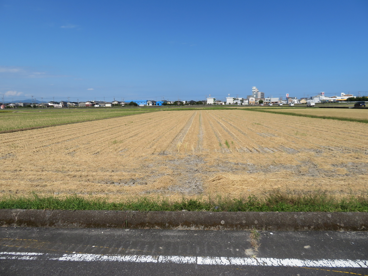 f:id:eiji-chan:20190918211220j:plain