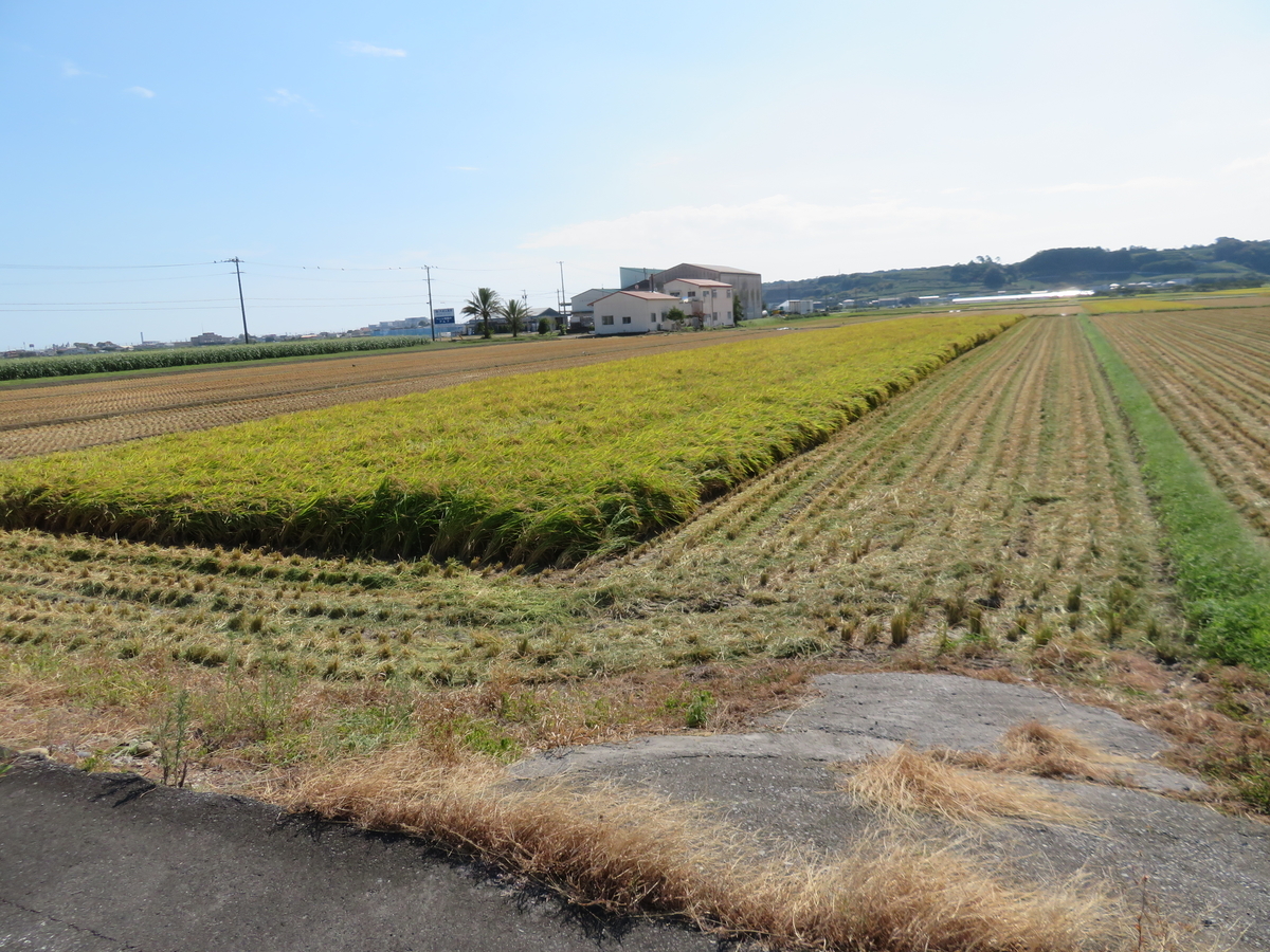 f:id:eiji-chan:20190918211558j:plain