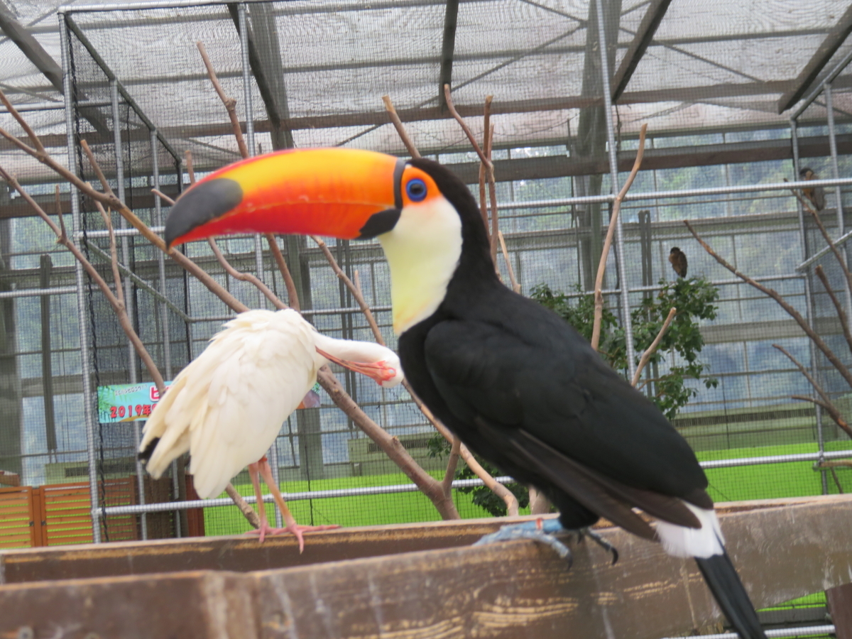 f:id:eiji-chan:20190919202543j:plain