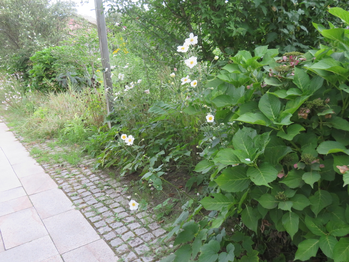f:id:eiji-chan:20190928142748j:plain f:id:eiji-chan:20190928142748j:plain