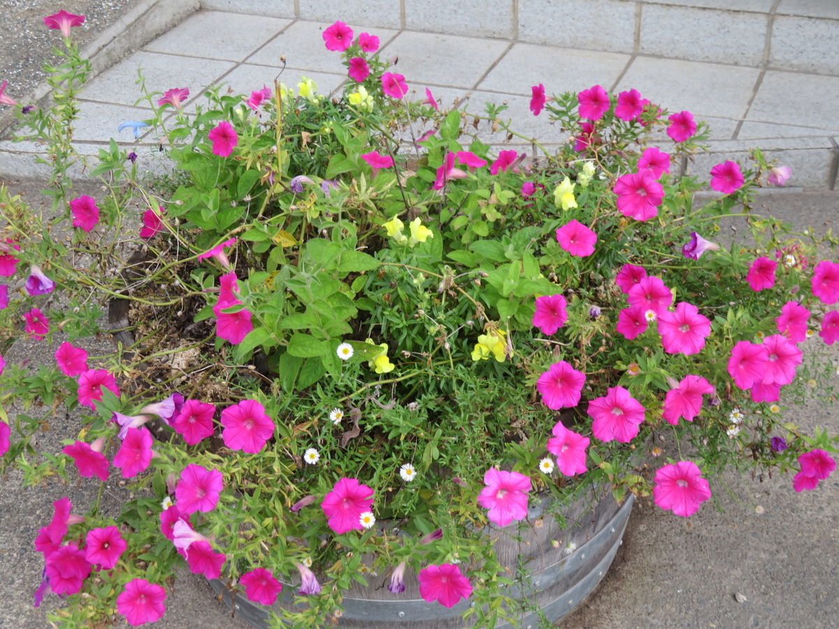 f:id:eiji-chan:20190928143254j:plain f:id:eiji-chan:20190928143254j:plain
