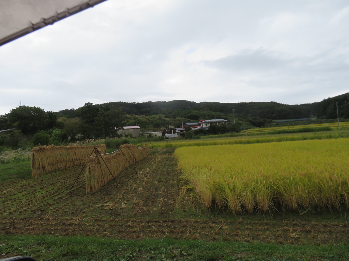 f:id:eiji-chan:20190928145841j:plain f:id:eiji-chan:20190928145841j:plain