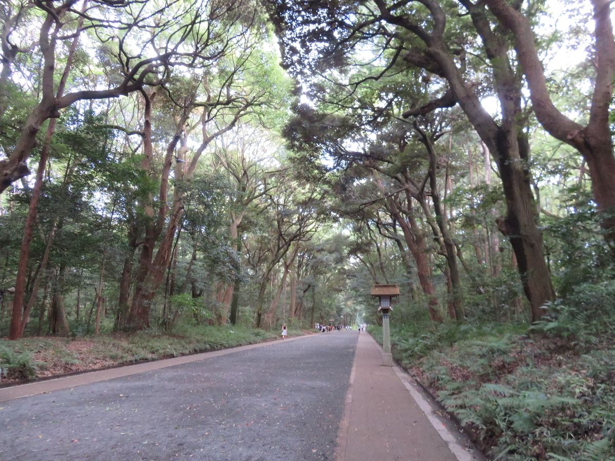 f:id:eiji-chan:20191005200930j:plain f:id:eiji-chan:20191005200930j:plain