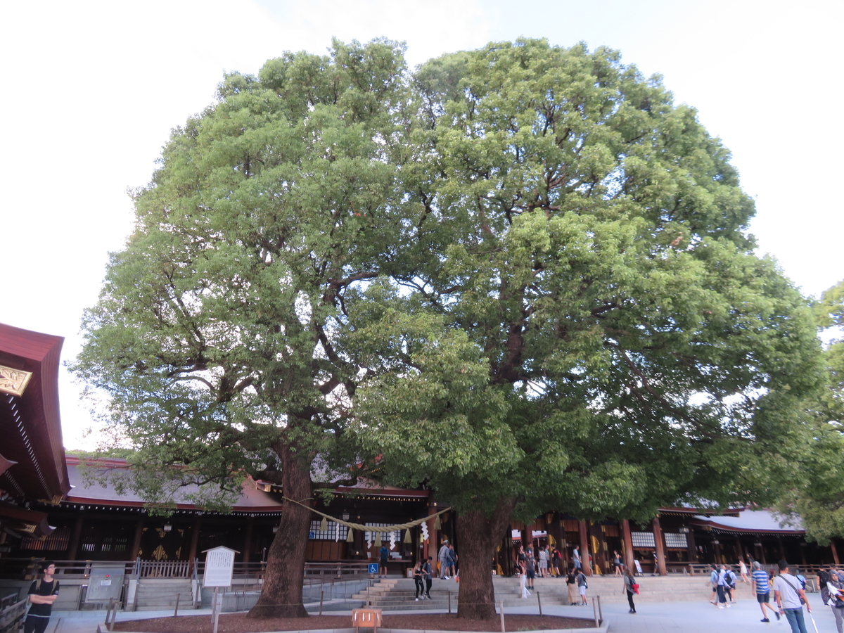 f:id:eiji-chan:20191005202751j:plain f:id:eiji-chan:20191005202751j:plain