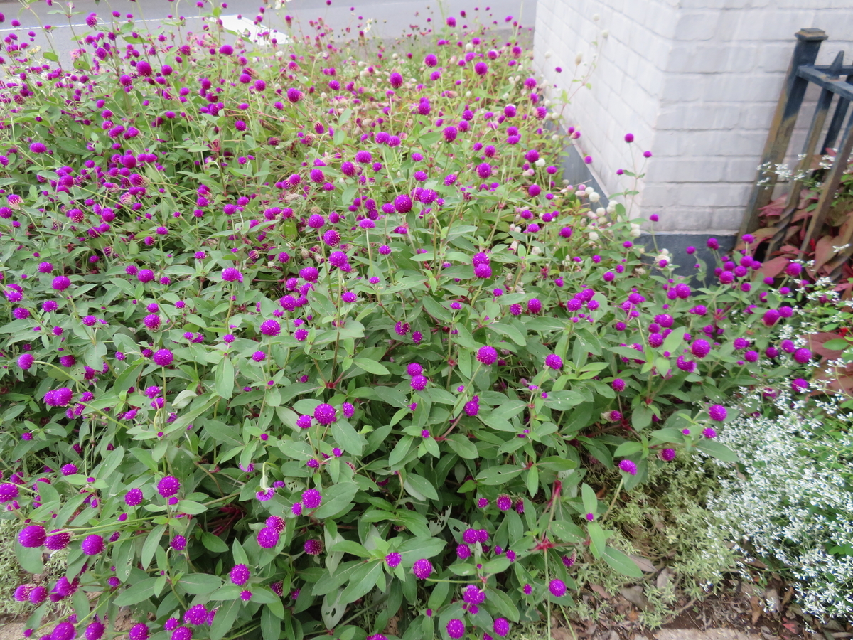 f:id:eiji-chan:20191017162307j:plain