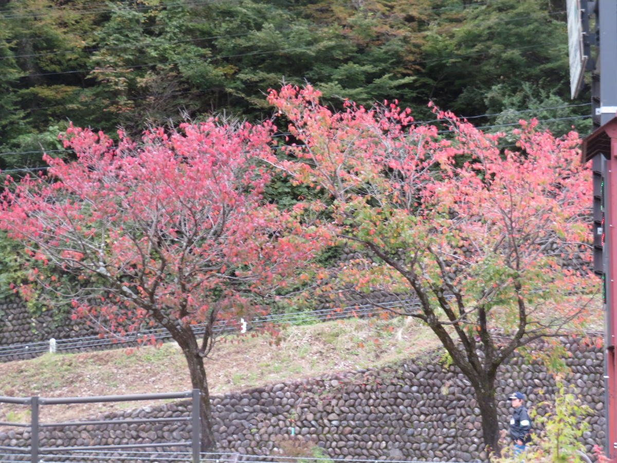 f:id:eiji-chan:20191024203112j:plain