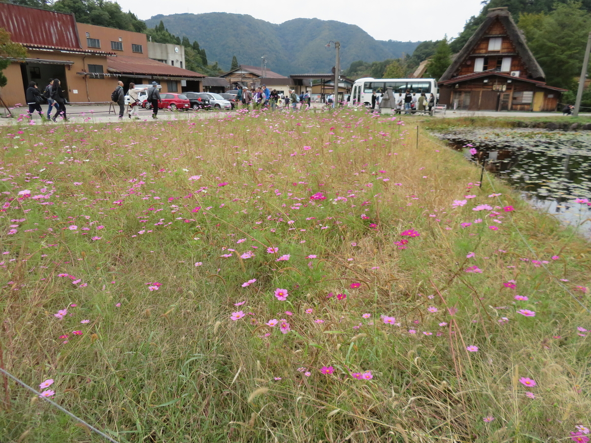 f:id:eiji-chan:20191024203921j:plain