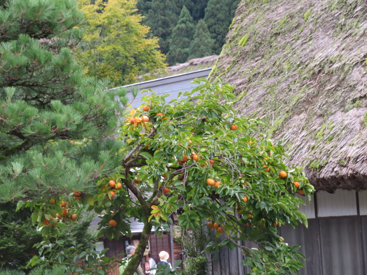 f:id:eiji-chan:20191024204400j:plain