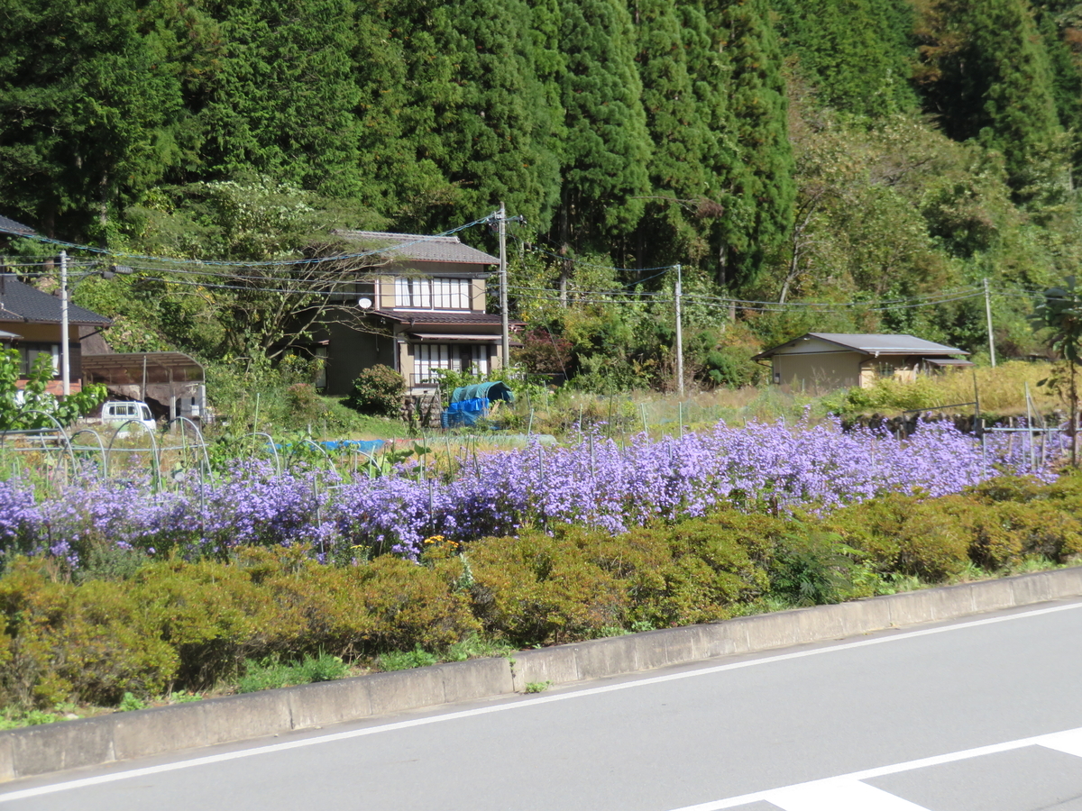 f:id:eiji-chan:20191026202307j:plain