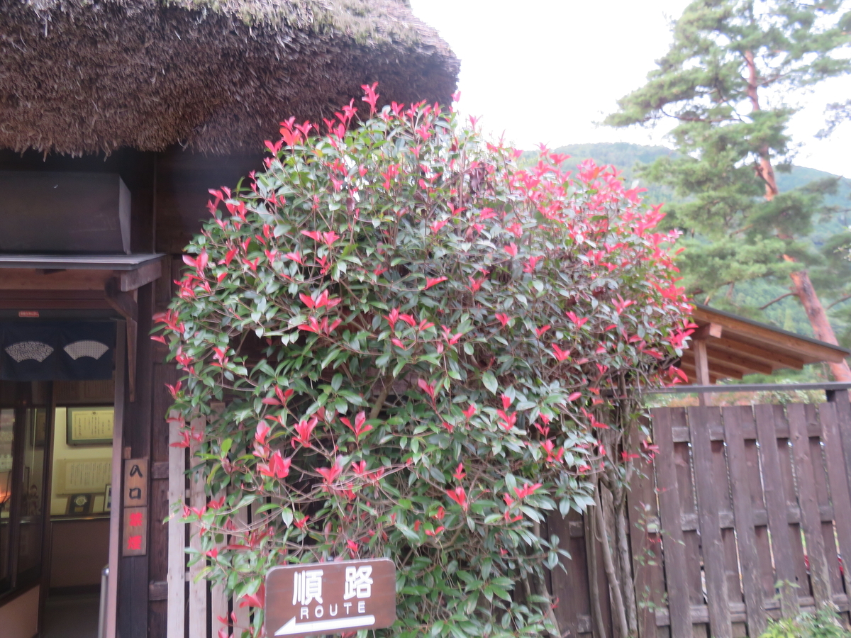 f:id:eiji-chan:20191026211924j:plain