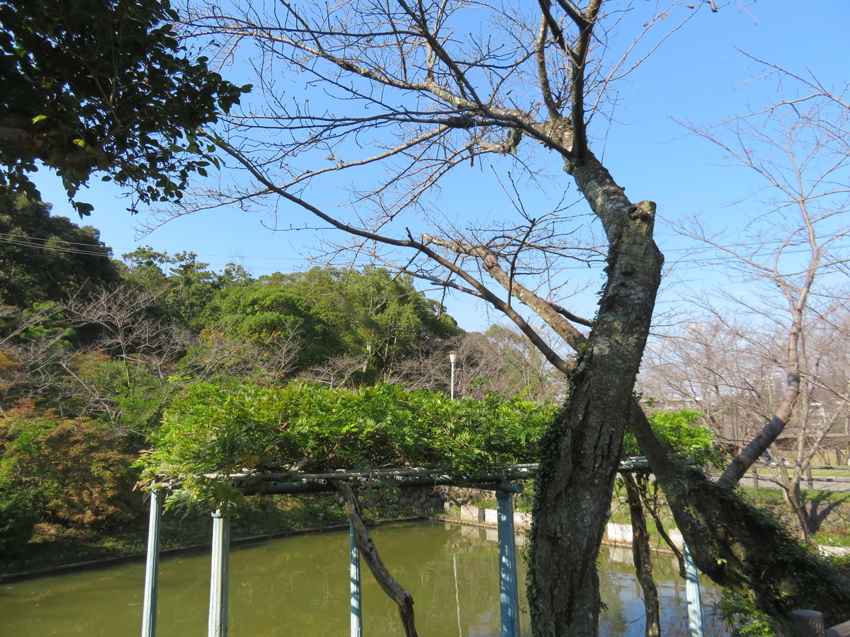 f:id:eiji-chan:20191101224608j:plain