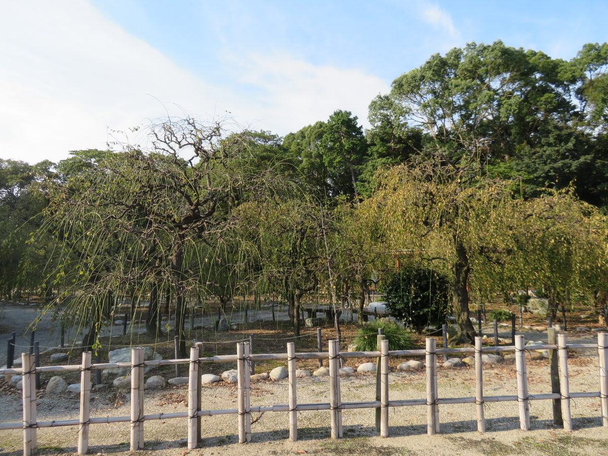 f:id:eiji-chan:20191101232519j:plain
