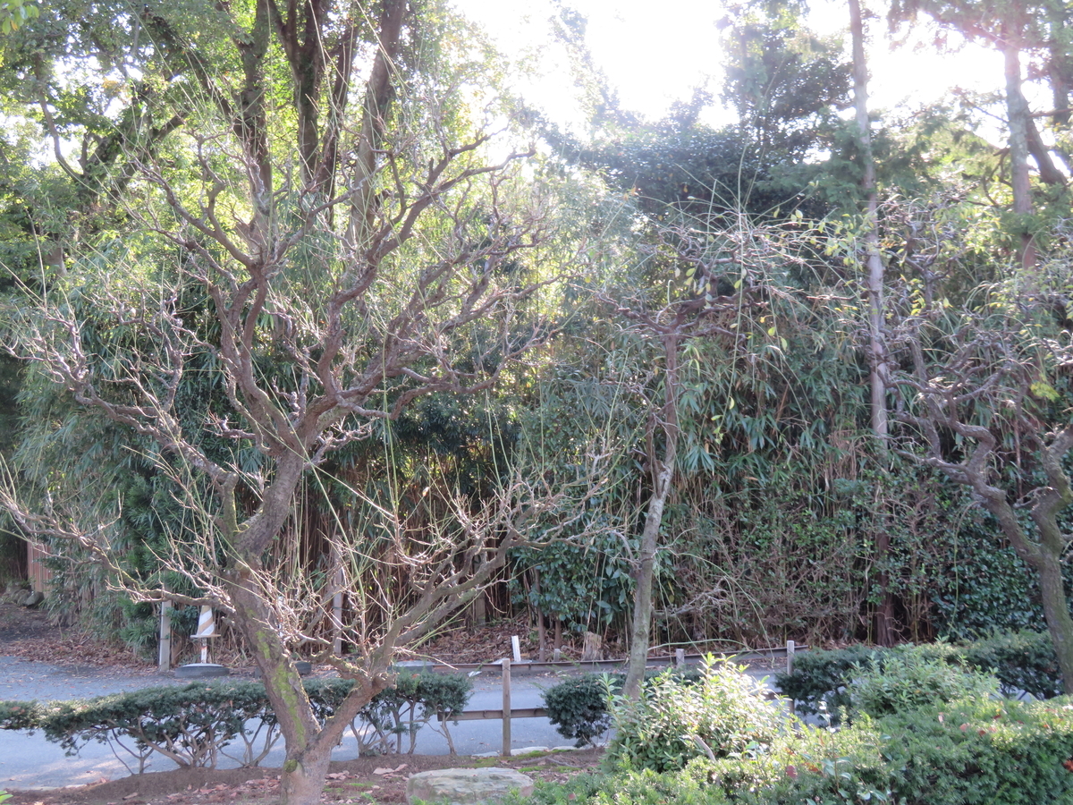 f:id:eiji-chan:20191101232725j:plain