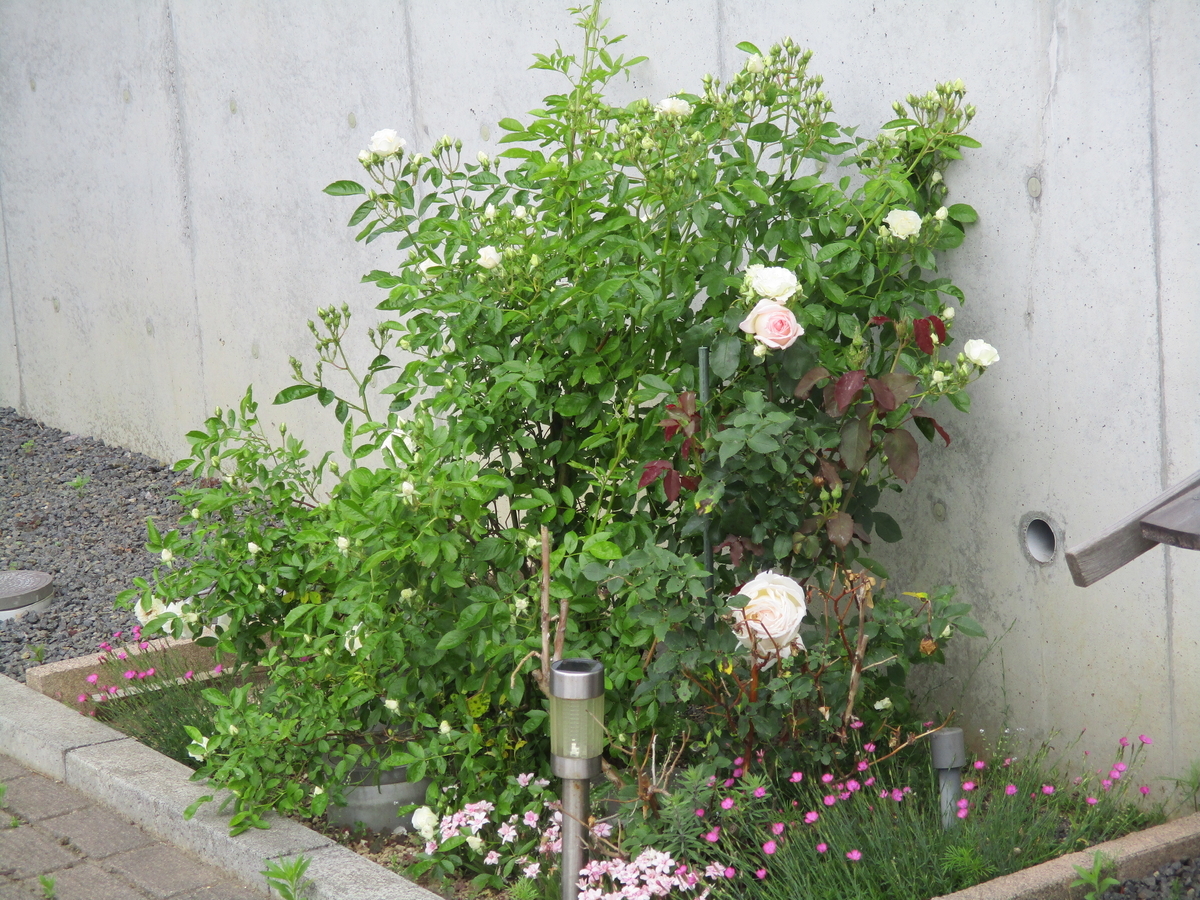 f:id:eiji-chan:20200618093617j:plain