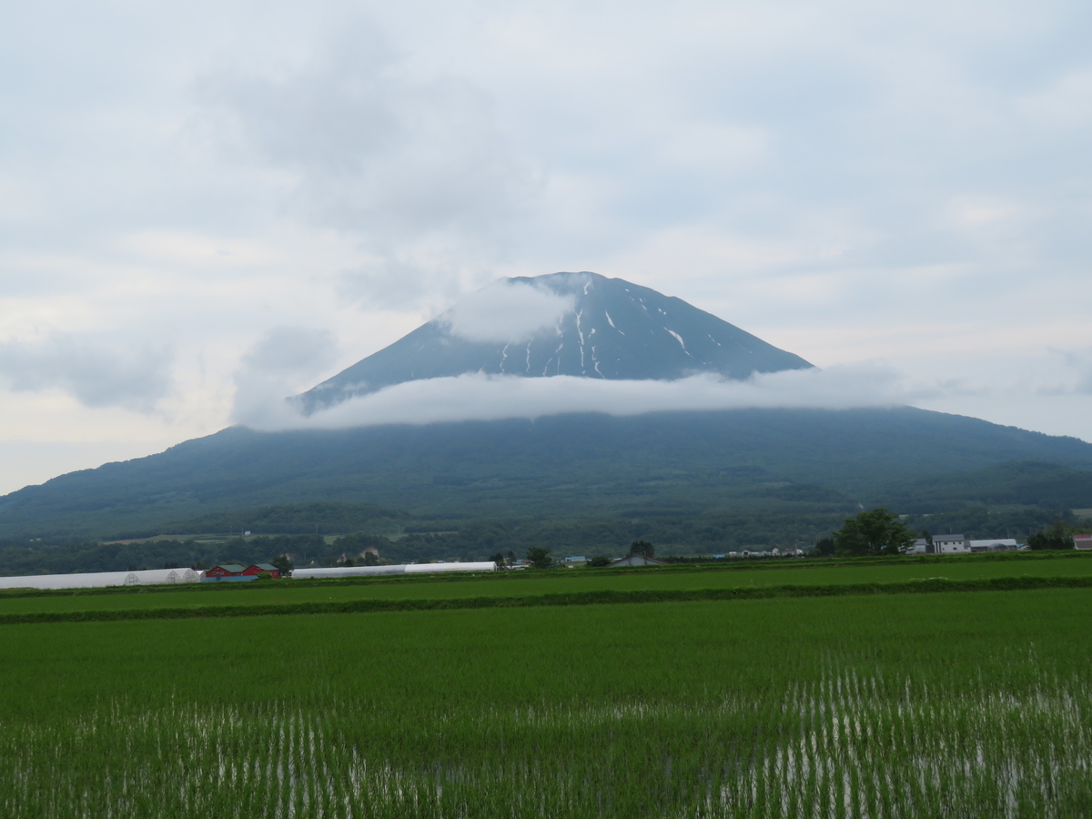 f:id:eiji-chan:20200625214937j:plain