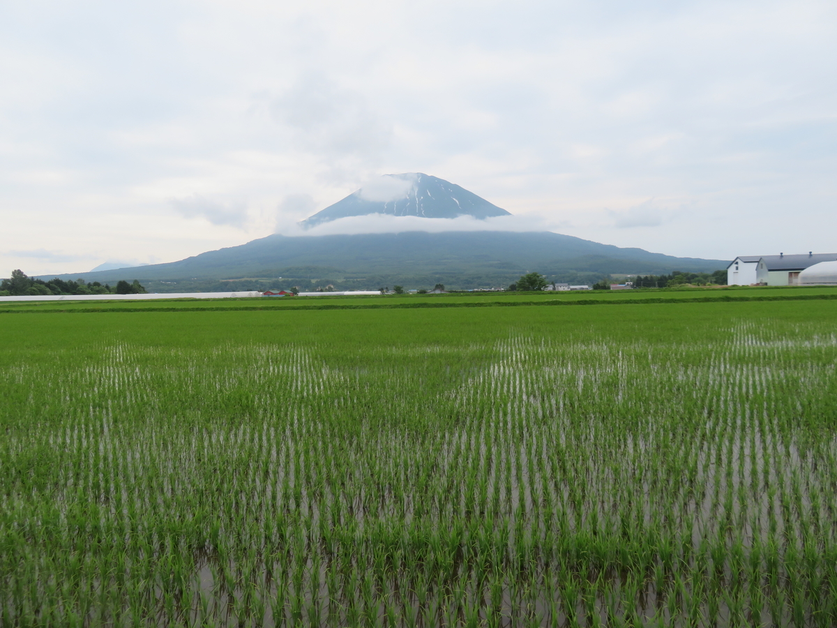 f:id:eiji-chan:20200625215201j:plain