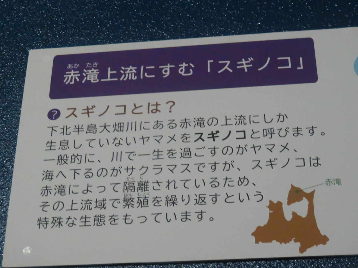 f:id:eiji-chan:20200626171127j:plain f:id:eiji-chan:20200626171127j:plain