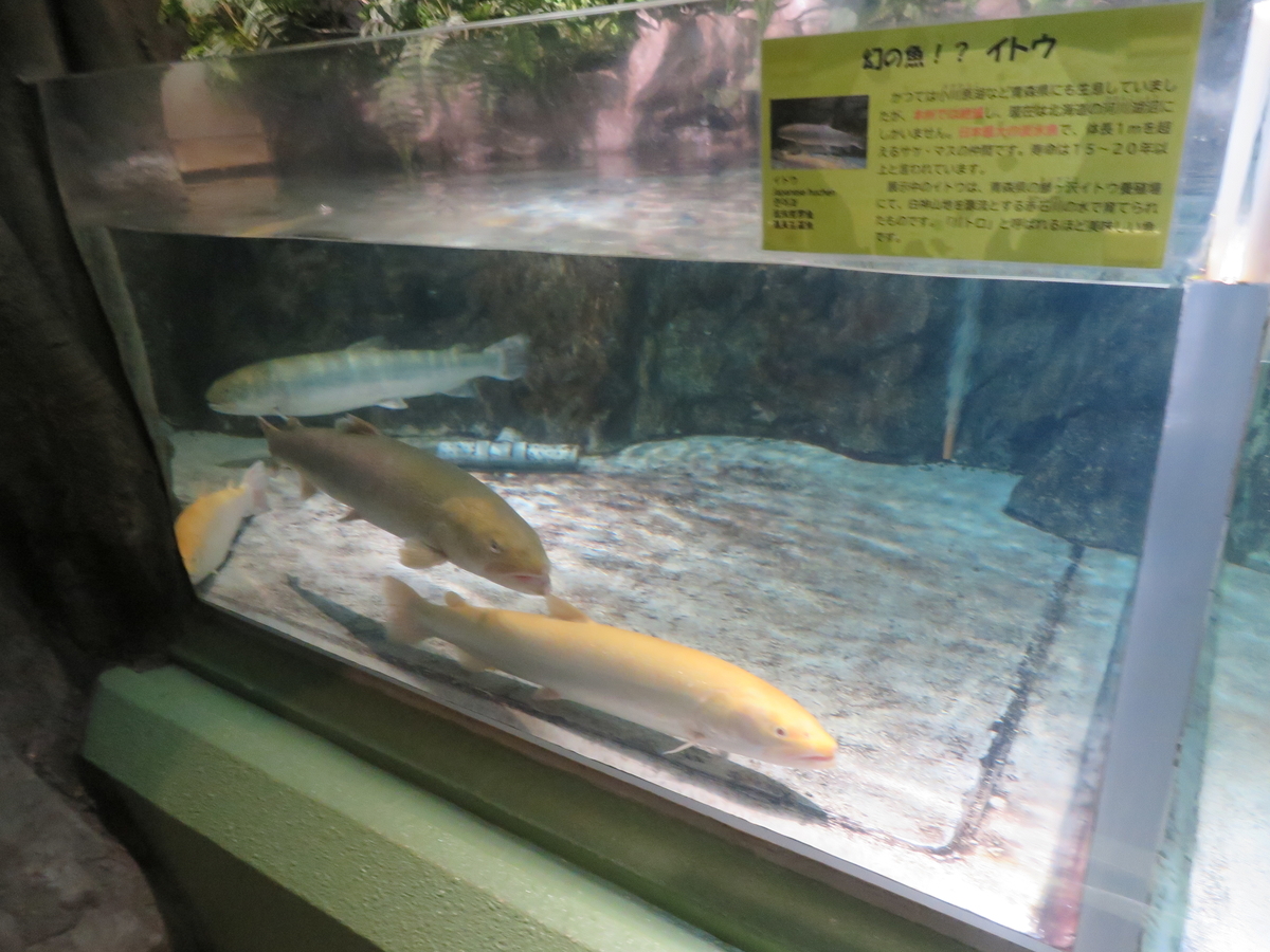 f:id:eiji-chan:20200626172047j:plain f:id:eiji-chan:20200626172047j:plain