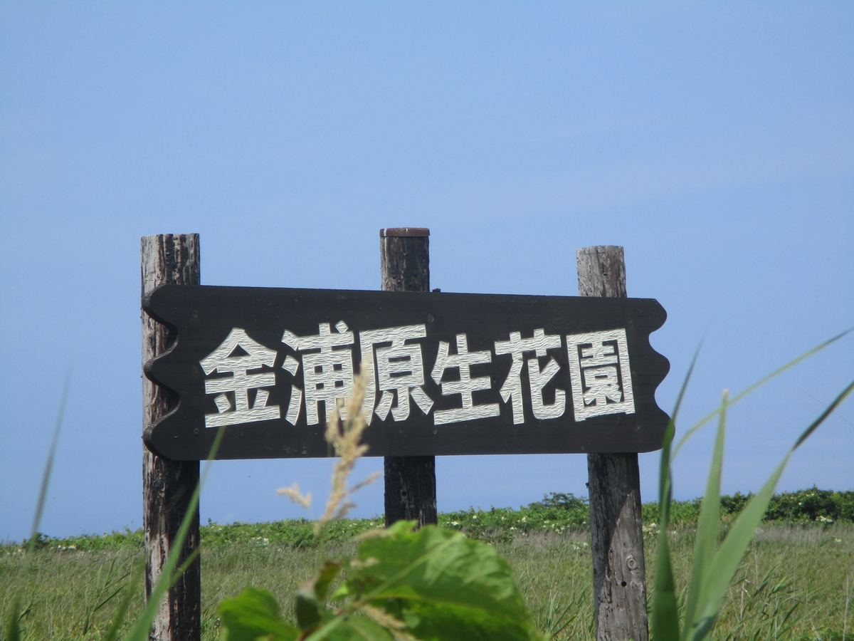 f:id:eiji-chan:20200803205600j:plain f:id:eiji-chan:20200803205600j:plain