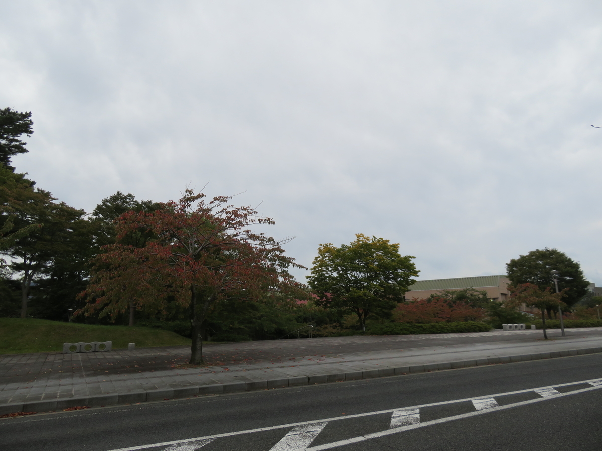 f:id:eiji-chan:20201009184925j:plain