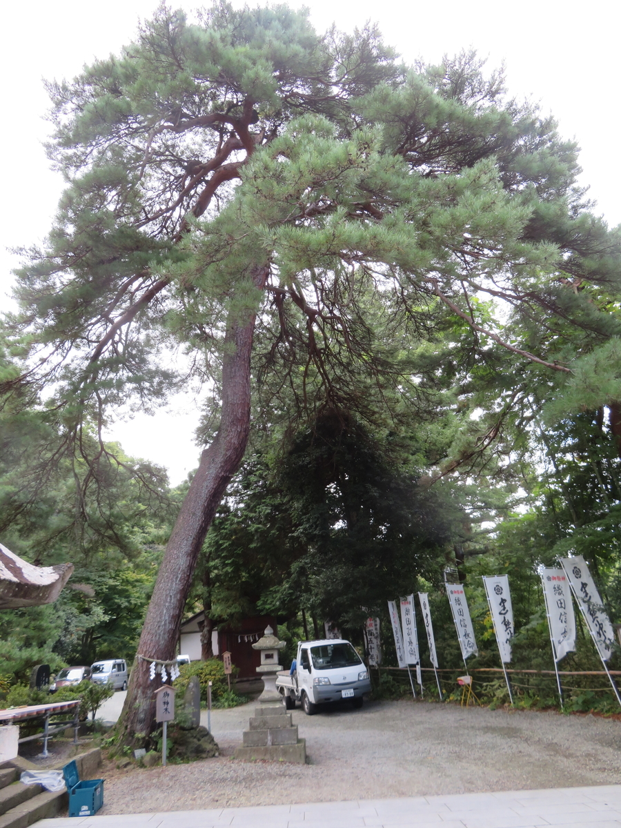 f:id:eiji-chan:20201014213908j:plain f:id:eiji-chan:20201014213908j:plain