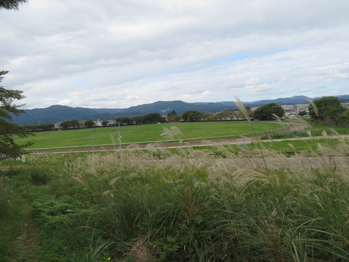 f:id:eiji-chan:20201016200514j:plain
