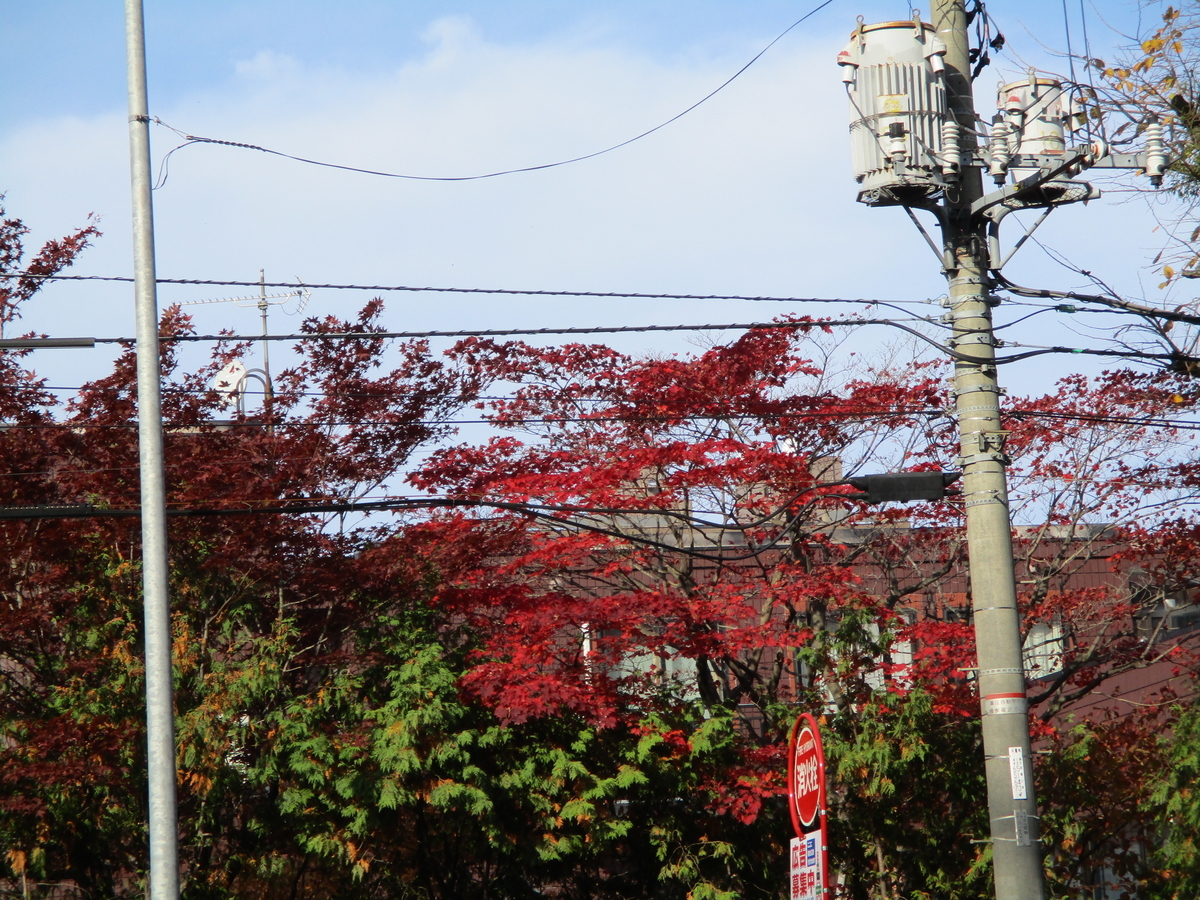 f:id:eiji-chan:20201031112419j:plain