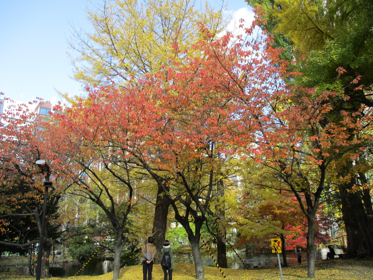 f:id:eiji-chan:20201110181622j:plain f:id:eiji-chan:20201110181622j:plain