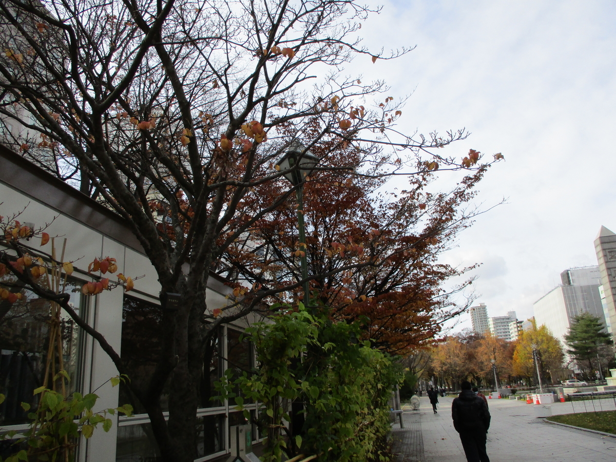 f:id:eiji-chan:20201118065529j:plain
