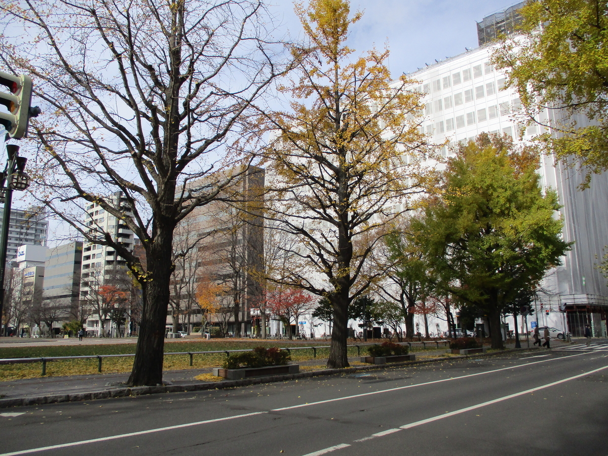 f:id:eiji-chan:20201118065734j:plain