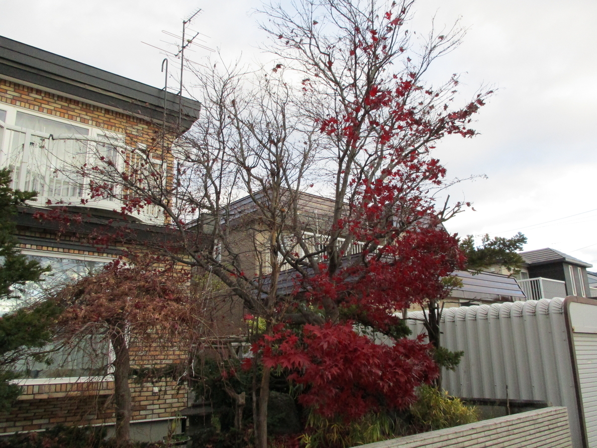 f:id:eiji-chan:20201126111140j:plain