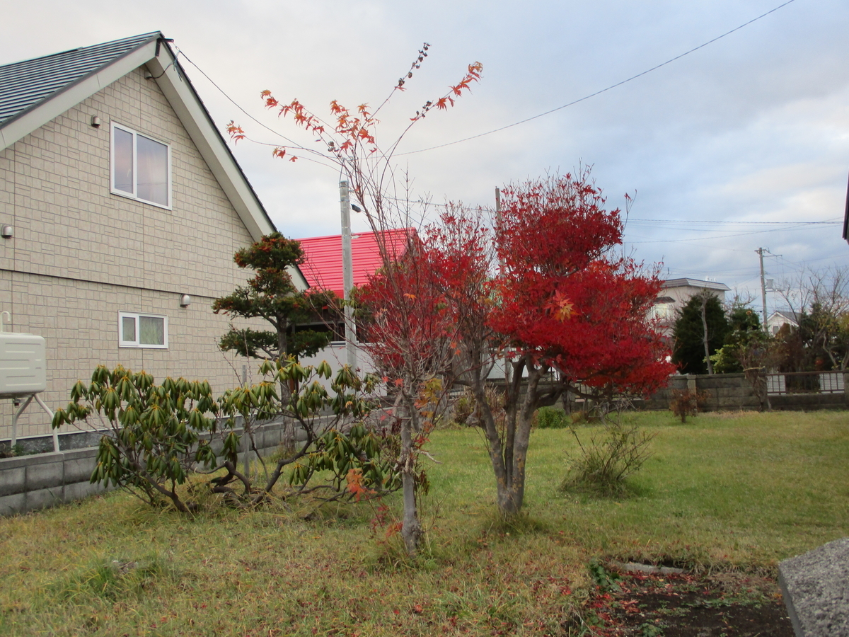 f:id:eiji-chan:20201126111218j:plain