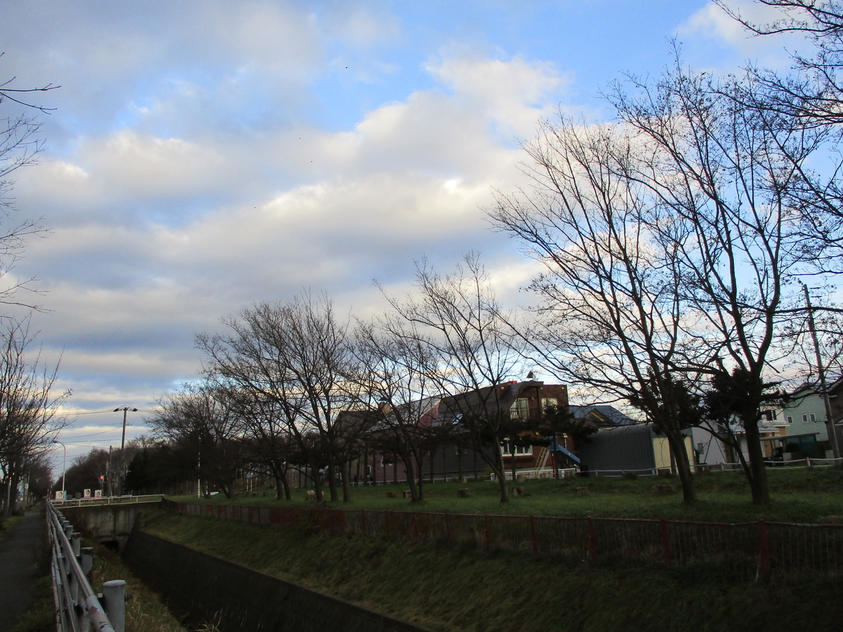 f:id:eiji-chan:20201126111343j:plain