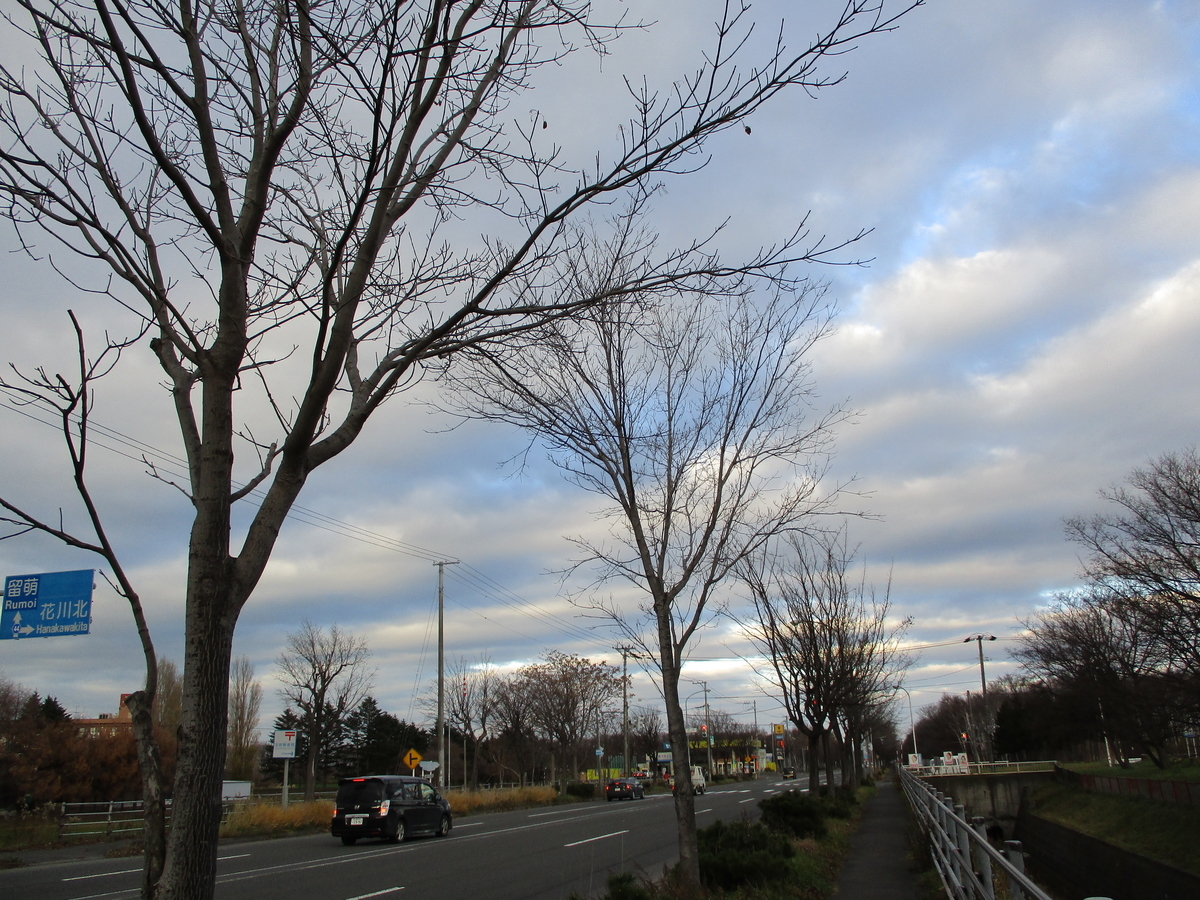 f:id:eiji-chan:20201126111423j:plain