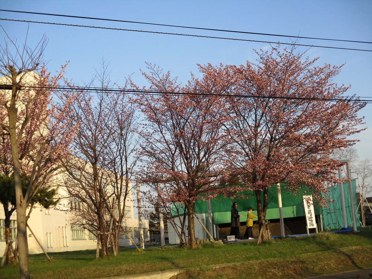 f:id:eiji-chan:20210429093353j:plain