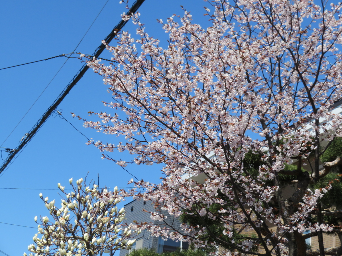 f:id:eiji-chan:20210429093901j:plain