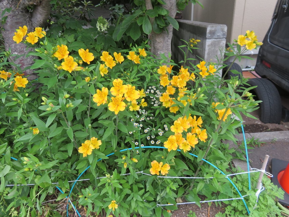 f:id:eiji-chan:20210627112311j:plain
