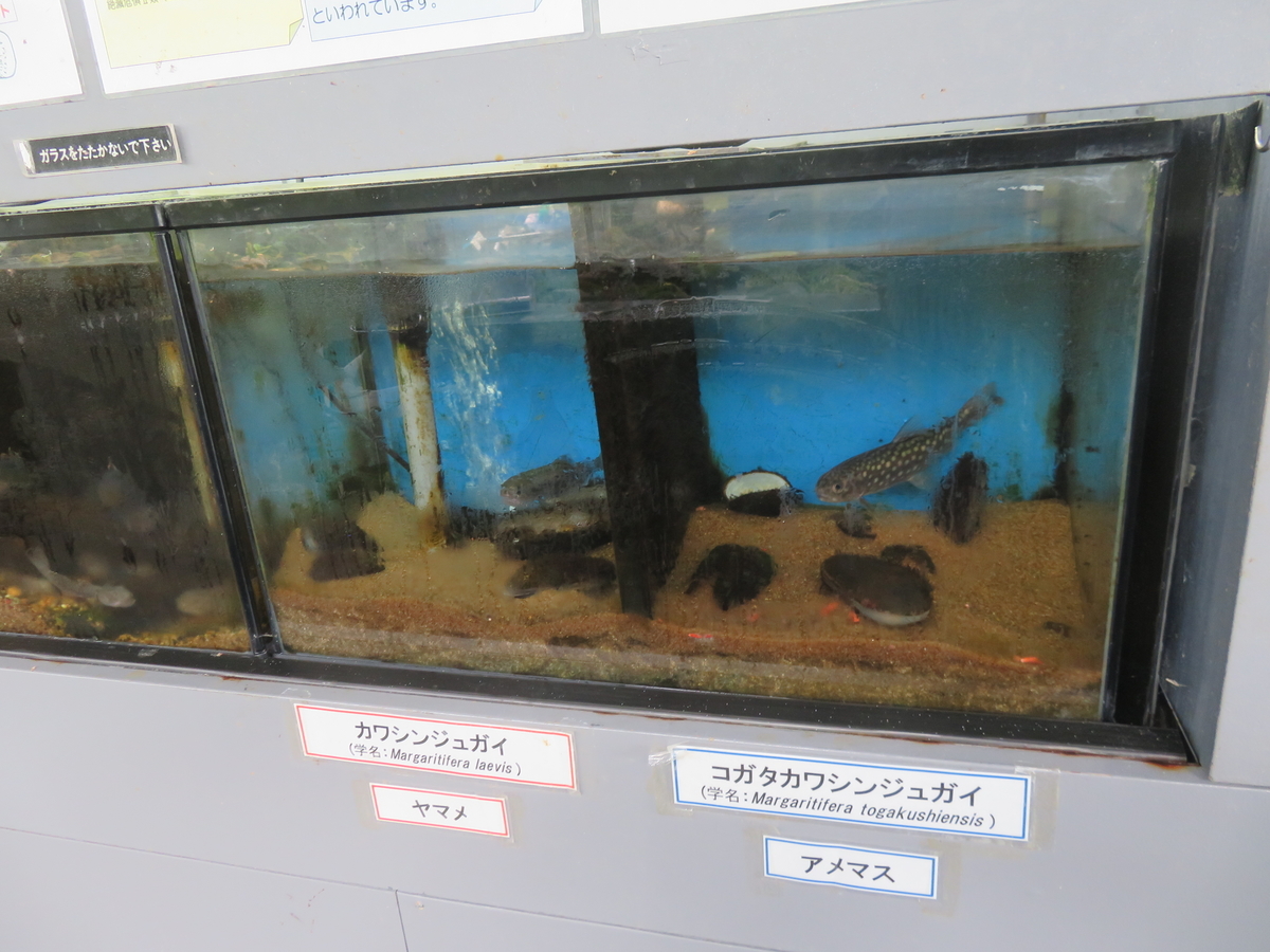 f:id:eiji-chan:20210704173711j:plain