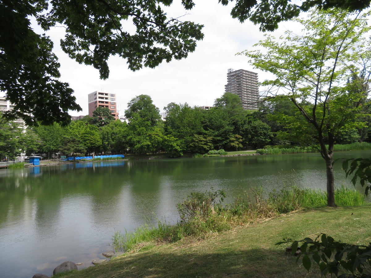 f:id:eiji-chan:20210711224036j:plain