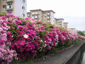 Pict0069