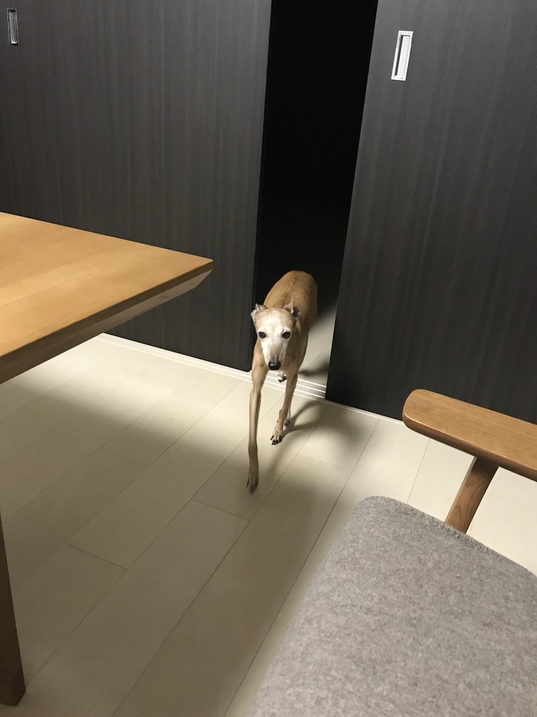 f:id:eiji1964:20190225212119j:plain f:id:eiji1964:20190225212119j:plain