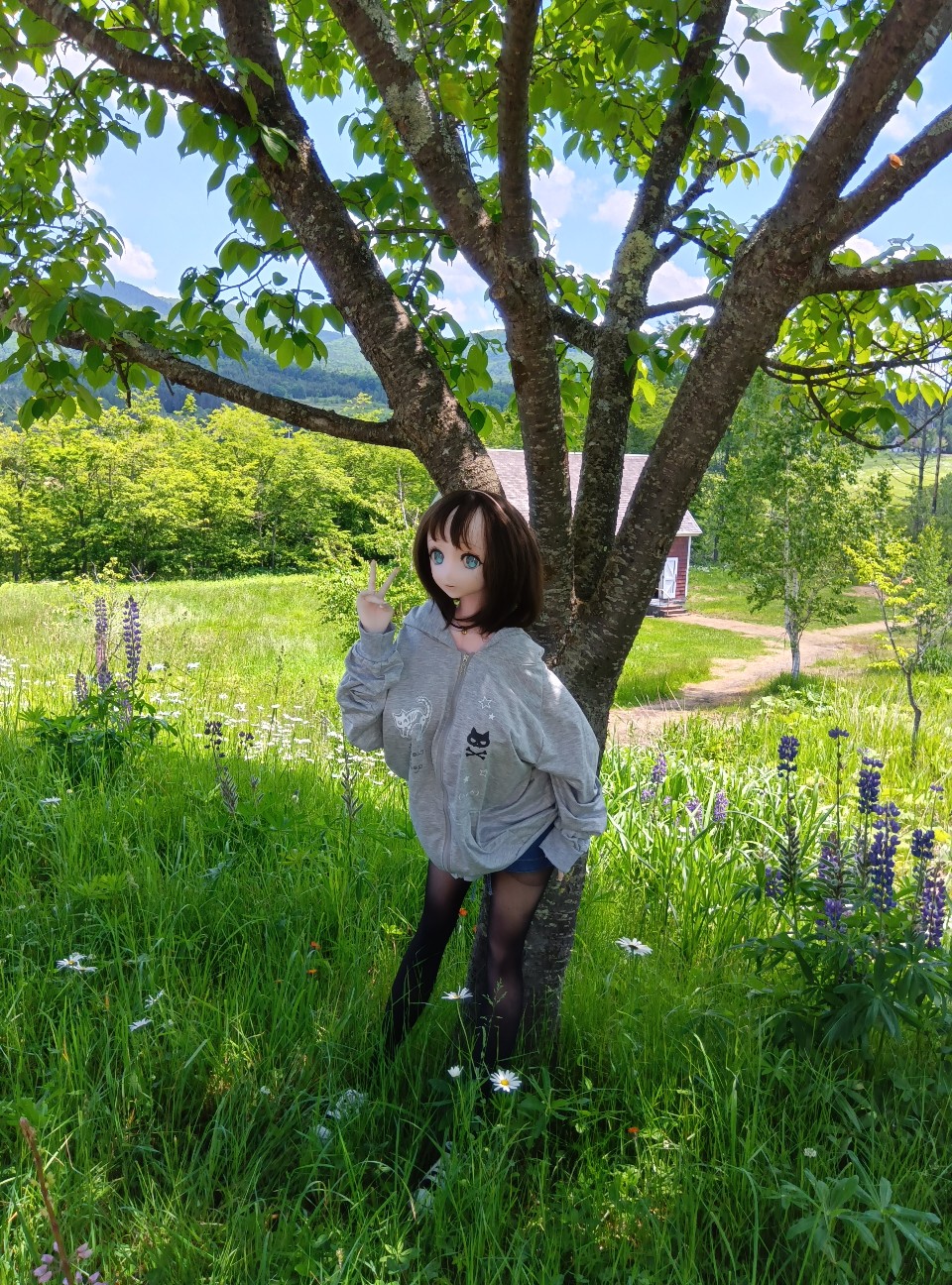 f:id:eijiutsudo:20260616094440j:image