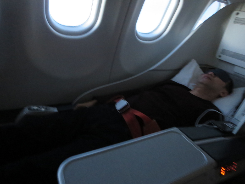 アエロフロート ロシア航空 成田ーモスクワ ビジネスクラス搭乗記 Sapporoベースでマイレージ旅行
