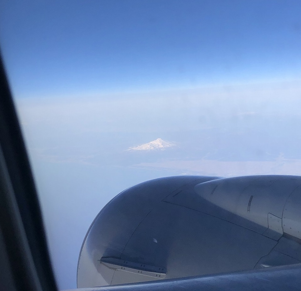 ANA【プレミアム&普通席】新千歳⇔伊丹 B737-800搭乗記とSKYコインキャンペーン - SAPPOROベースでマイレージ旅行