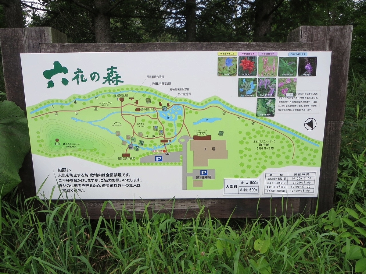f:id:eijixk:20210829152756j:plain