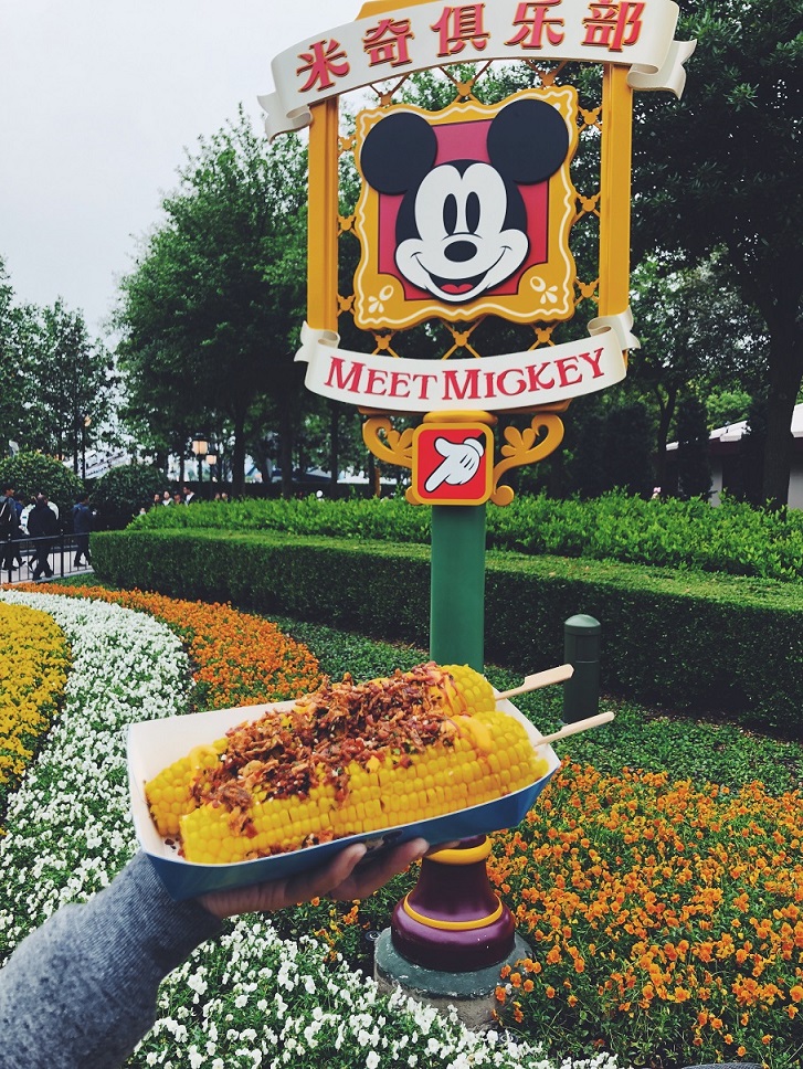 f:id:eijyu-blog:20210202194721j:plain