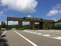 f:id:eikatsu-baske:20210524133303j:plain