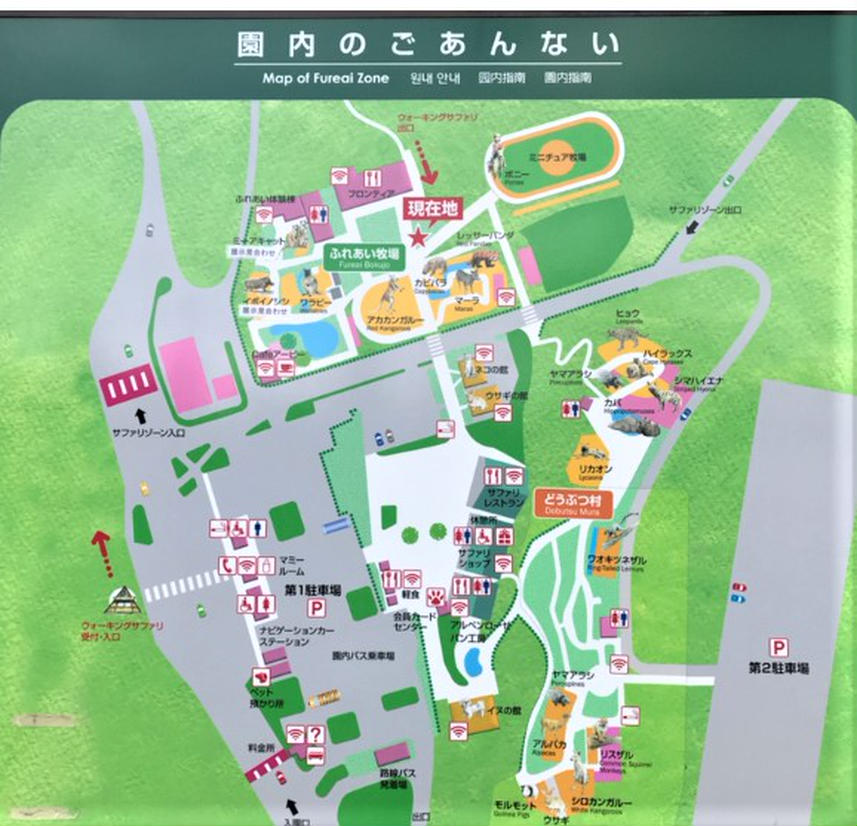 f:id:eikatsu-baske:20210524133426j:plain