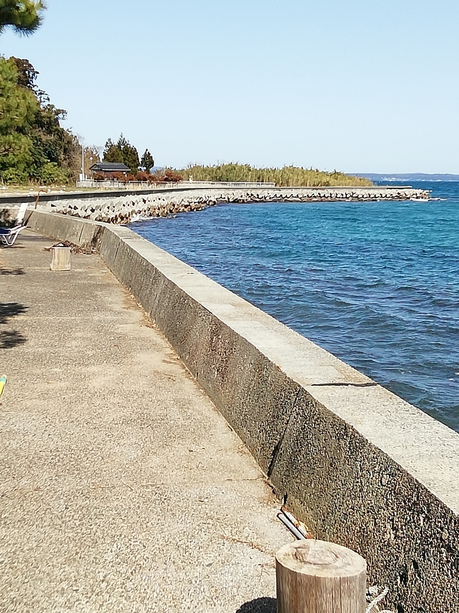 f:id:eikatsu-baske:20210708114456j:plain